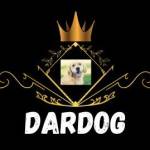 dar dog Profile Picture