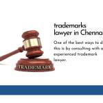 trademarklawyers Profile Picture