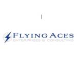 Flying Aces Consulting Profile Picture