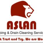 Aslan Plumbing Profile Picture