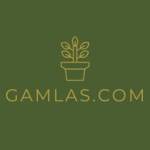Gamlas Hub Profile Picture