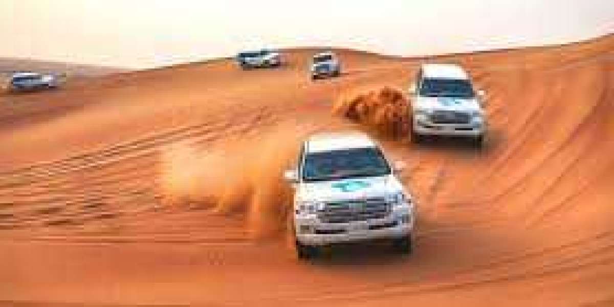 Immerse Yourself in a Desert Safari Experience