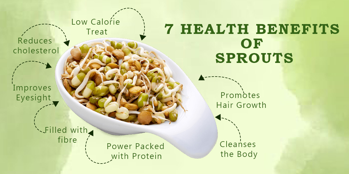 7 Health Benefits Of Sprouts - Boost Your Well-Being With Nature's