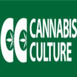 Cannabis Culture Profile Picture