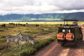 Best Safari in Africa: Take the Road Not Taken and Experience