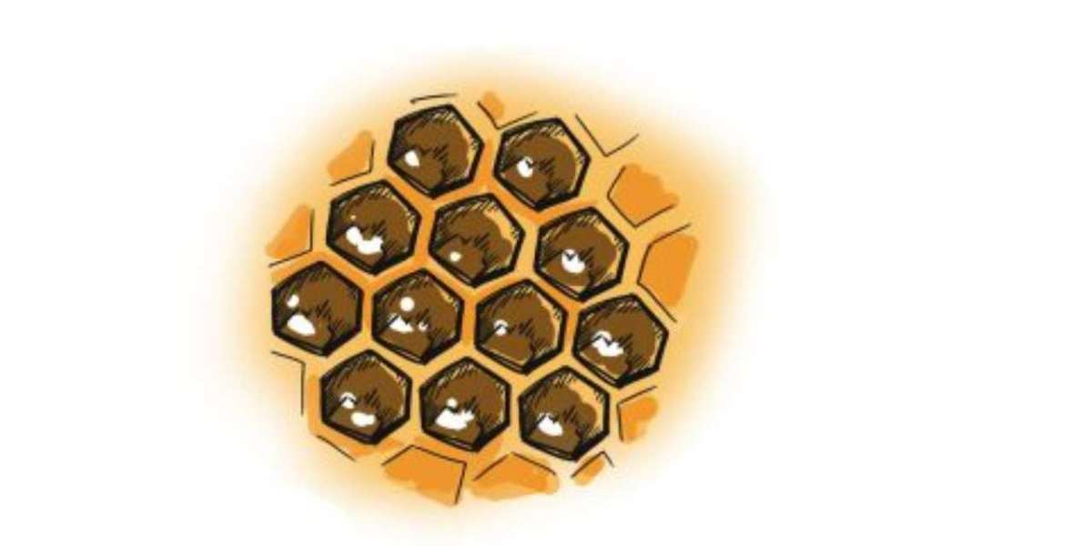 The Best Way to Draw A Honeycomb - Full Guide
