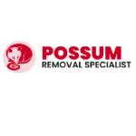 Possum Removal Melbourne Profile Picture