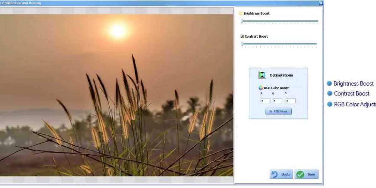 Protect Your Photos with Efficient Watermark Software
