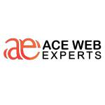 Ace Web Institute Profile Picture