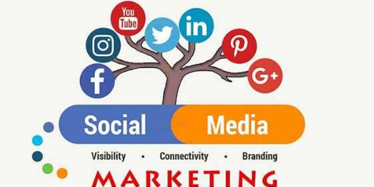 The Best Magicalabs Social Media Presence in Bareilly