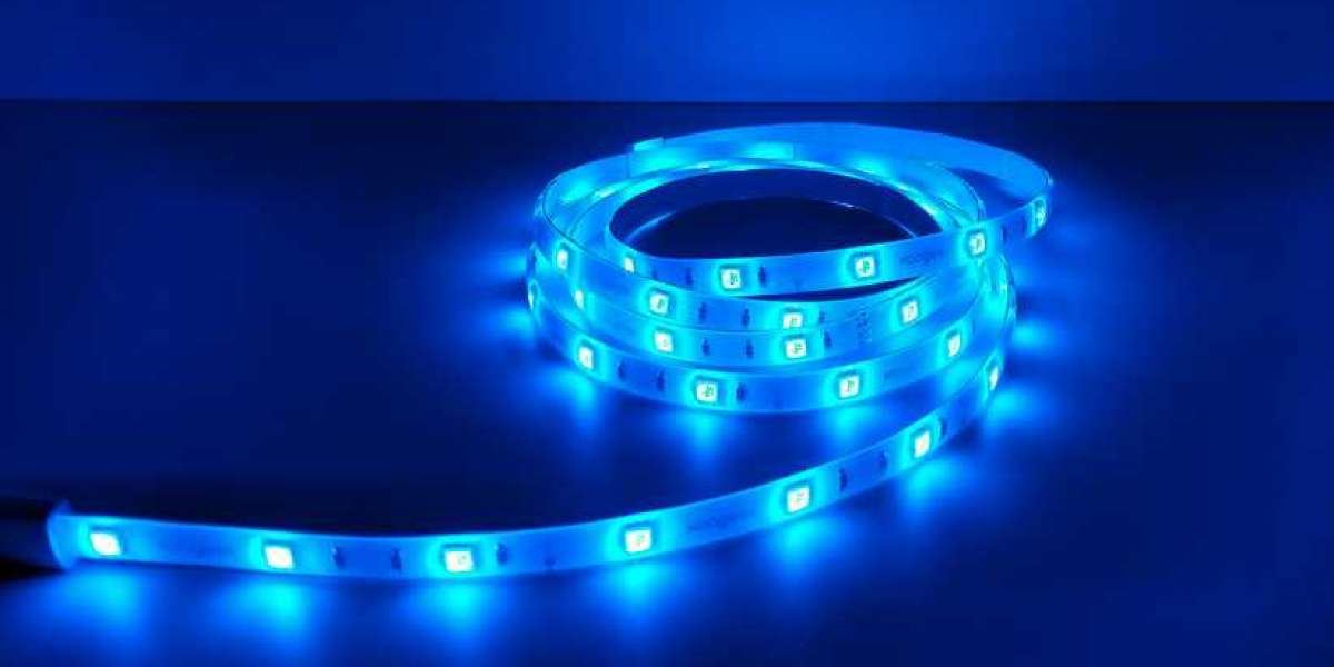LED Strips for Plant Growth: Choosing the Right Ones