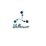 Skillteaser Technologies profile picture