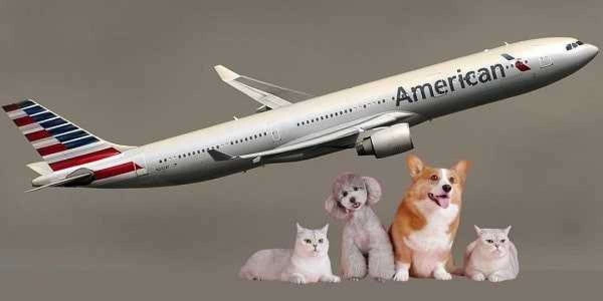How Many pets Are Allowed on American Airlines