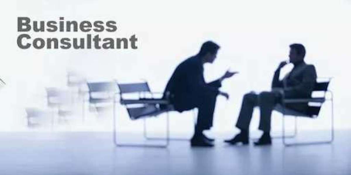 Business Consultant in Dubai: Unlocking Success through Expert Guidance and Support