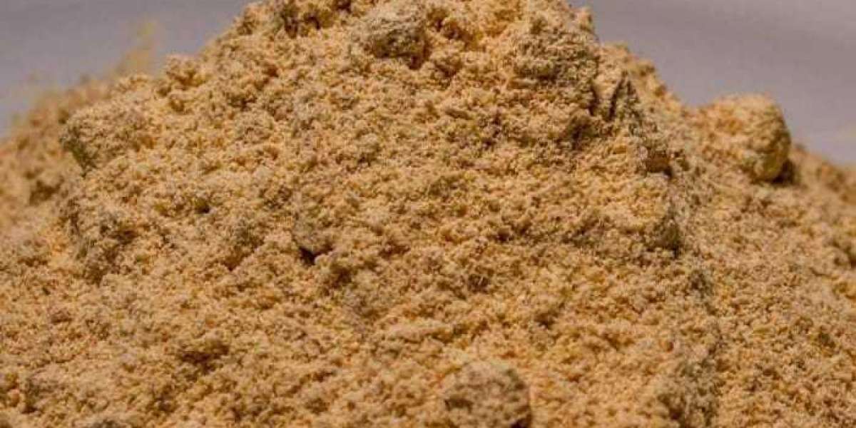 A Controversial Journey: The Online Availability of Ibogaine Powder