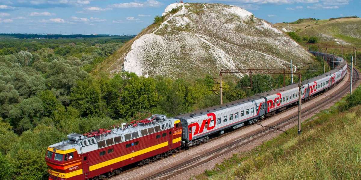 The Benefits of Choosing an Elite Train Vacation for Your Next Trip