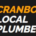 Local Plumber Cranbourne Profile Picture