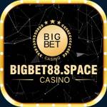 bigbet88 space Profile Picture