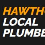 Local Plumber Hawthorn Profile Picture
