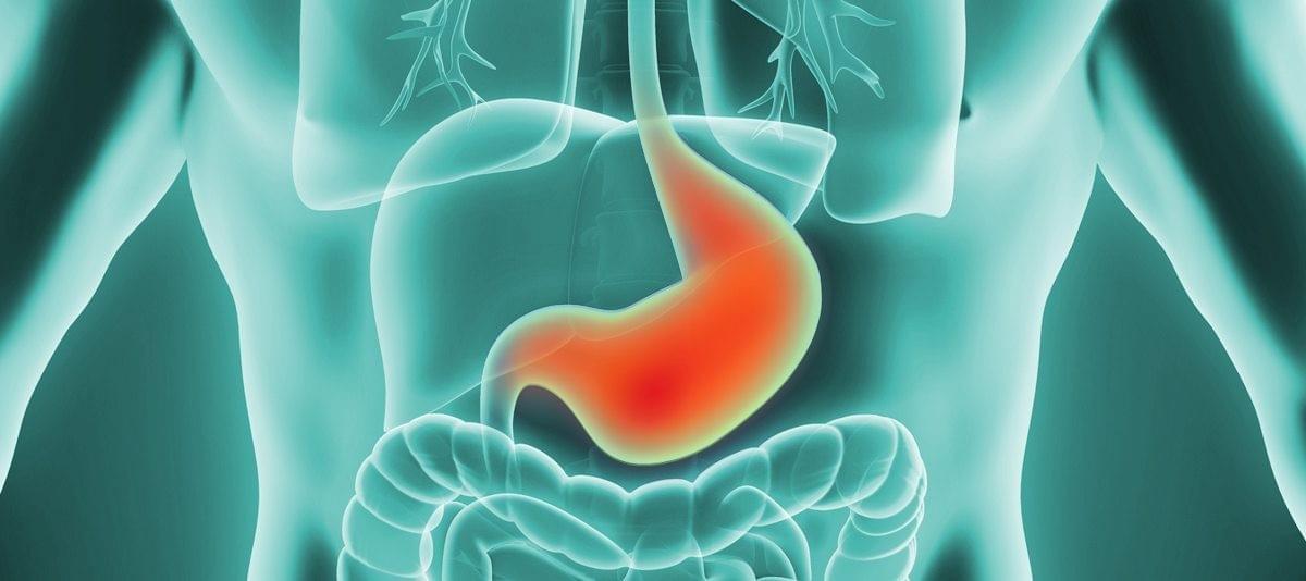 Stomach Pain: Understanding When To See The Best Gastro...