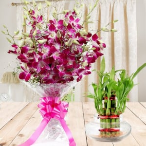 Send Flowers to Hyderabad | Online Flower Delivery in Hyderabad - OyeGifts