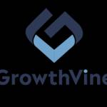 growthvine financial advisor Profile Picture