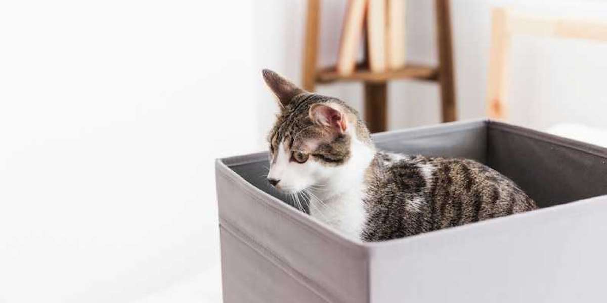 The Eco-Friendly Benefits of Using a Plant Litter Box