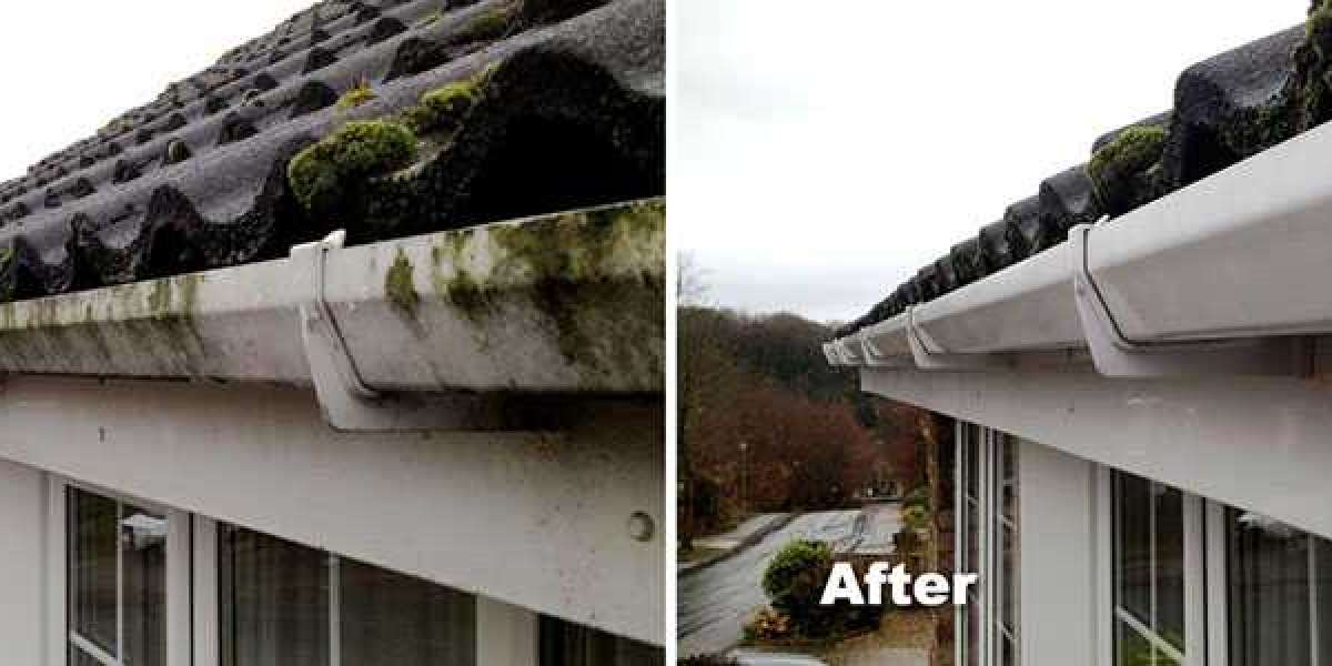 What are the areas of gutter cleaning services?