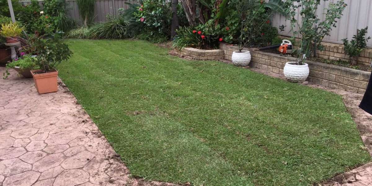 Hire professional companies for having green spacy lawn