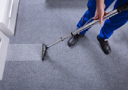 Best Carpet Cleaning Service in Whistler