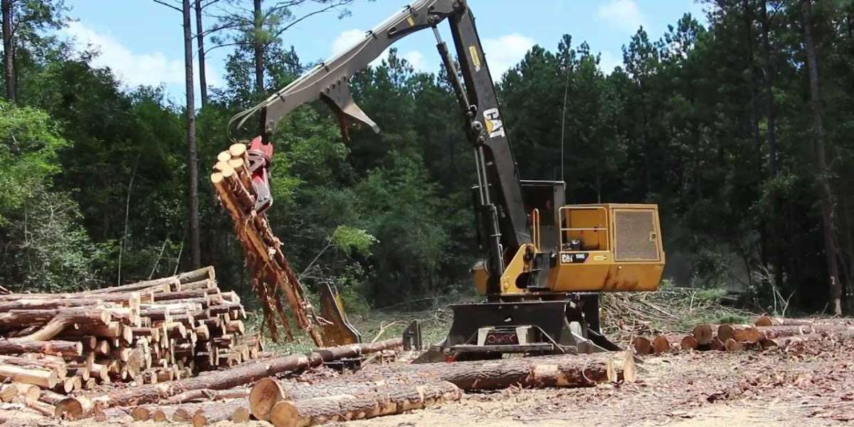 The Better Impact of Timber Harvesting on Forest Ecosystems