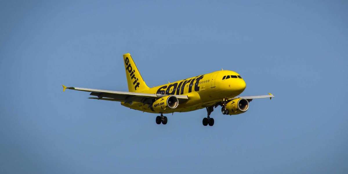Unveiling the Ultimate Guide to Spirit Airlines Group Travel