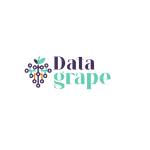 Data Grape` Profile Picture
