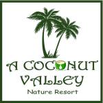 Coconut coconutvalley Profile Picture