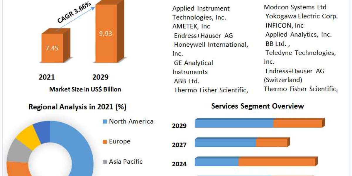 Process Analyzer Market to Observe Massive Growth by 2029
