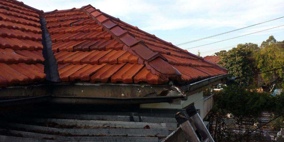 Keep your roof clean and damage free by professionals