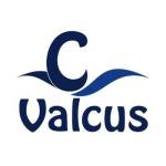 Valcus India profile picture
