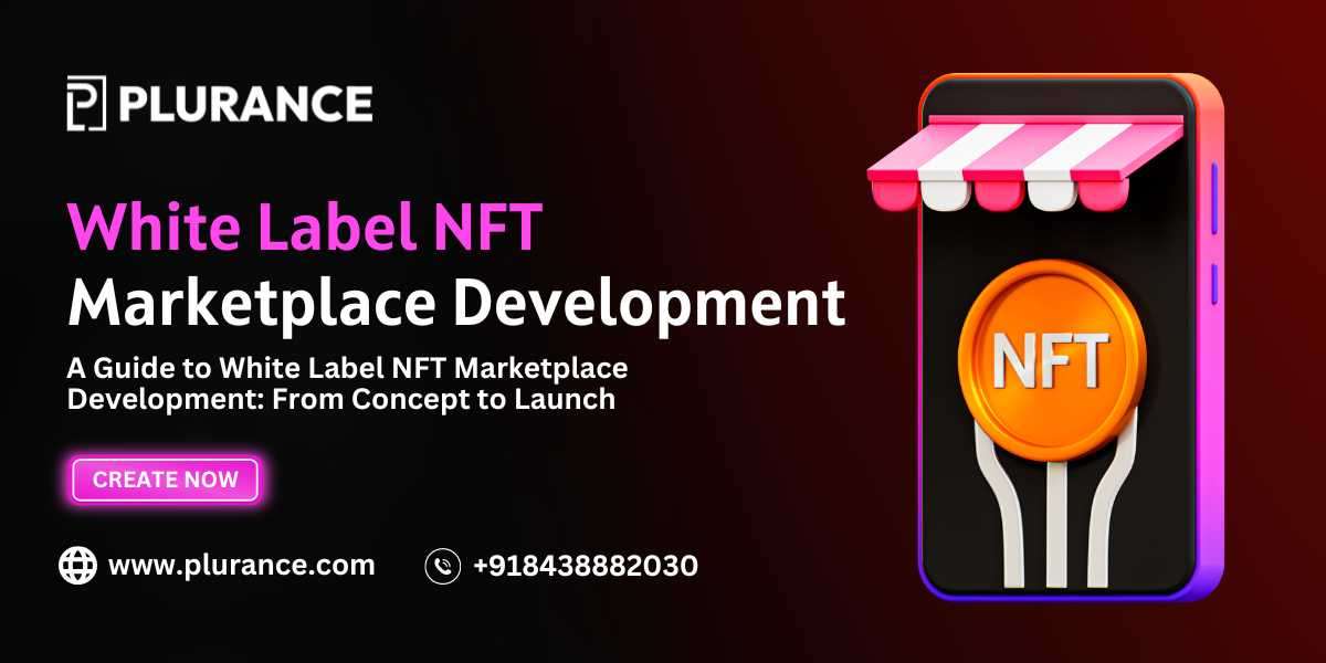 A Guide to White Label NFT Marketplace Development: From Concept to Launch