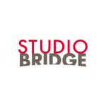 The Studio Bridge Profile Picture