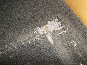 Has Your Carpet Got Bald Patches? - Eagle Springs Carpet Cleaning