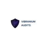 Vibranium Audits Profile Picture
