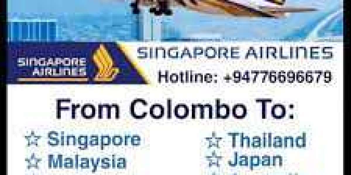 Empowering Your Travels: Airlines Phone Numbers for Any Query