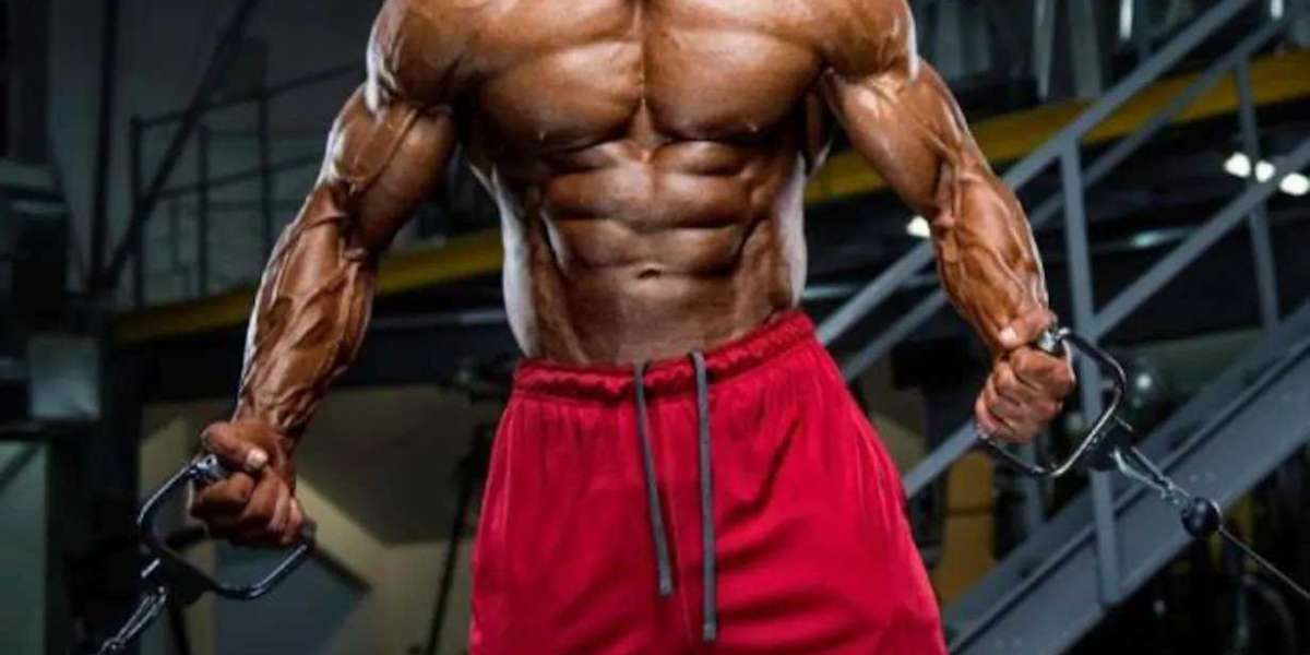 Winstrol Steroid: Unveiling the Pros and Cons