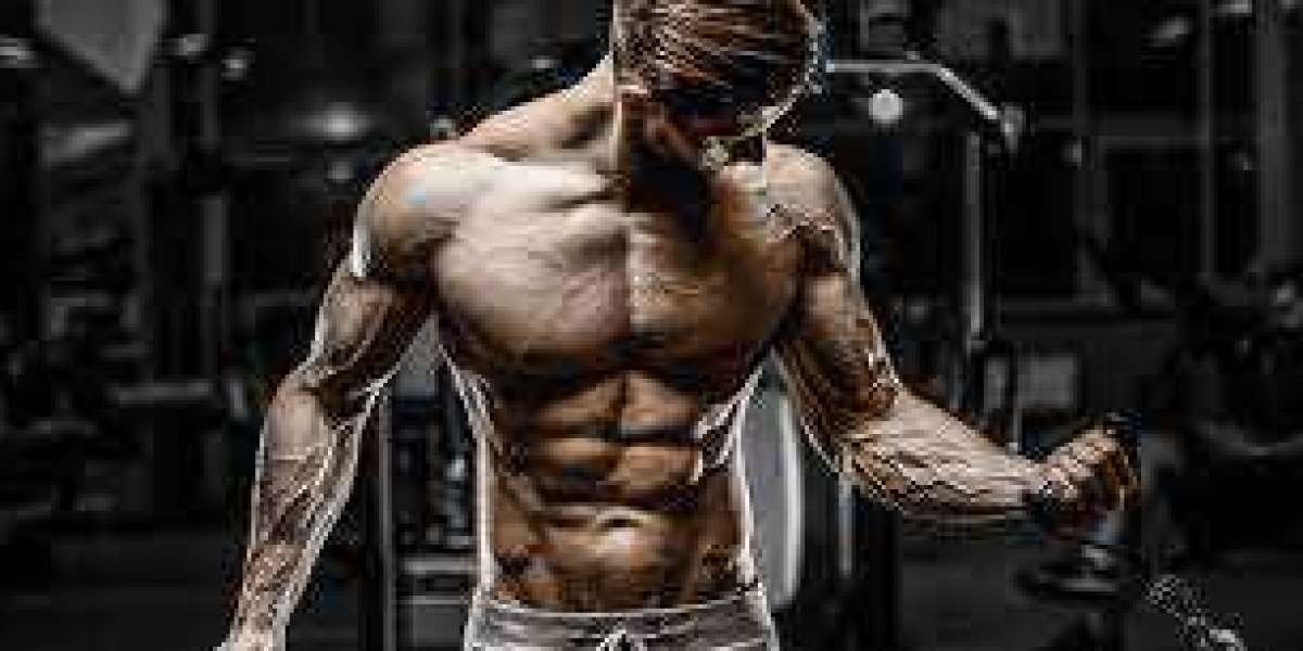 **Heading 1: The Rising Popularity of SARMS Online Kaufen**
