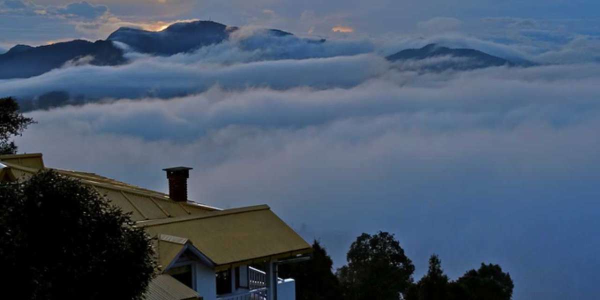 Escape to Serenity: Discovering Mukteshwar Resorts and the Best Places to Visit