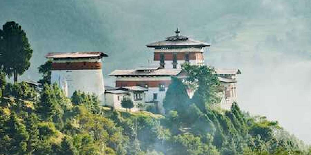 The Seven-Day Itinerary: What to Expect on Your Bhutan Birdwatching Tour