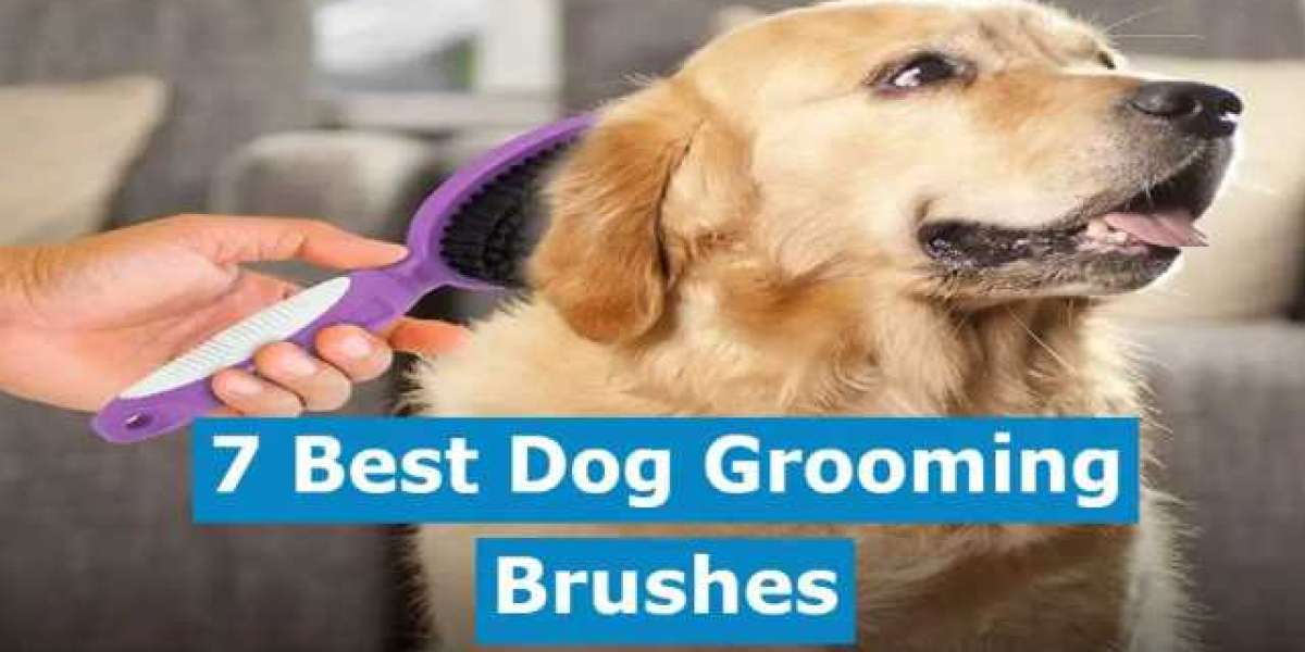 7 Best Professional Dog Grooming Brushes (According to Groomers)