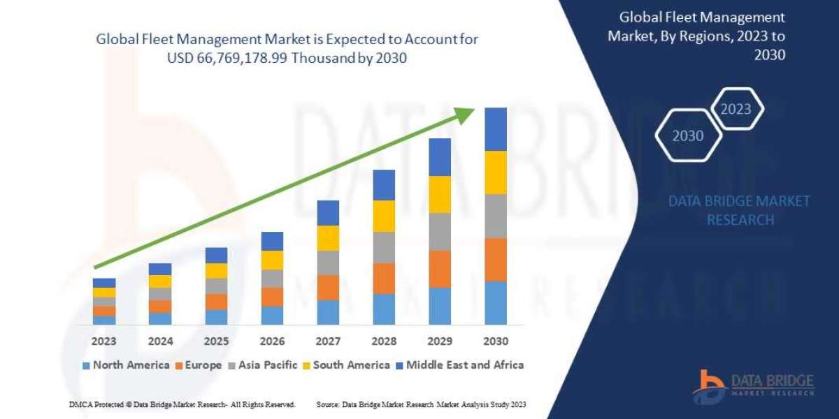 Fleet Management Market Insight On Share, Application, And Forecast Assumption 2030
