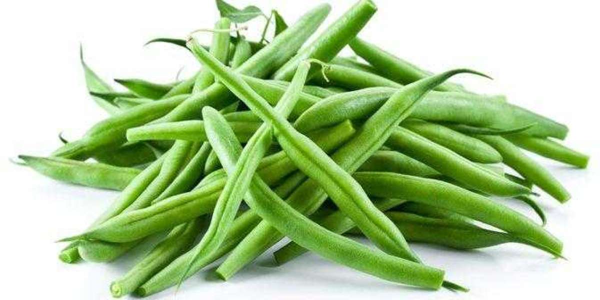 Global Dehydrated Green Beans Market Size, Share, Growth Report 2030