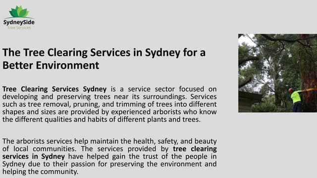 The Tree Clearing Services in Sydney for a Better Environment